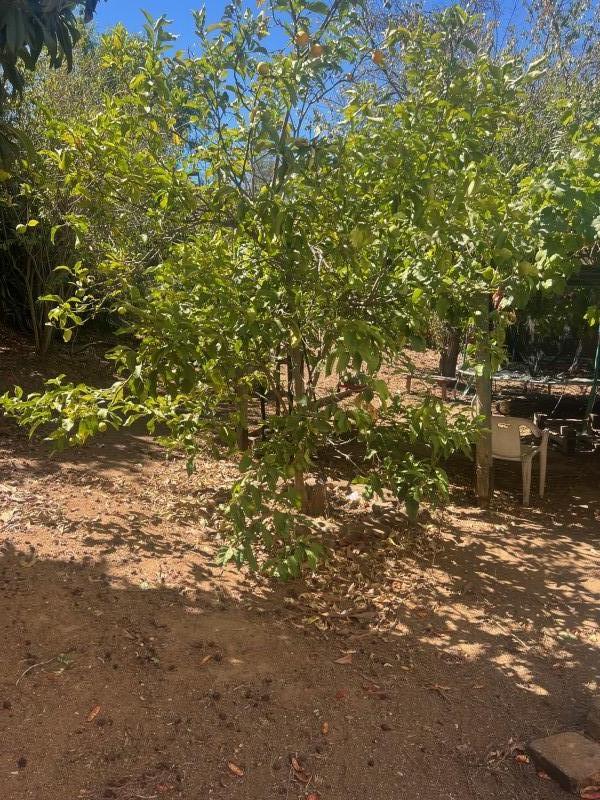 Amplia Propiedad en Cerro O´higgins