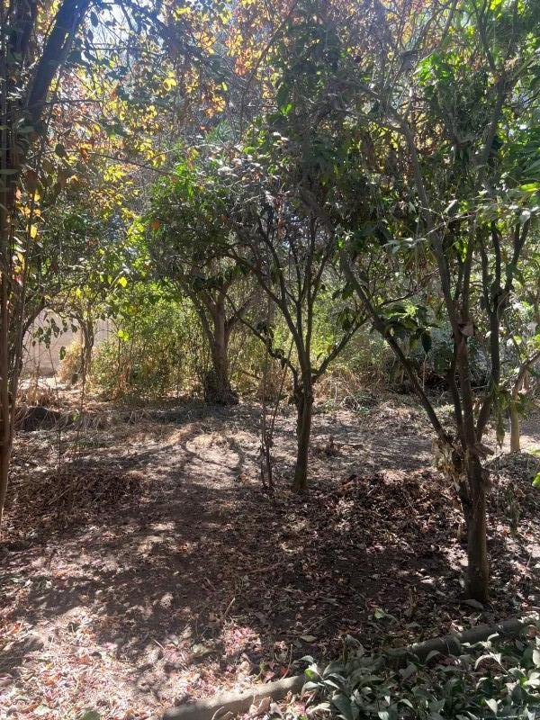 Gran Propiedad en Limache Viejo, Terreno de 1.430 M2.
