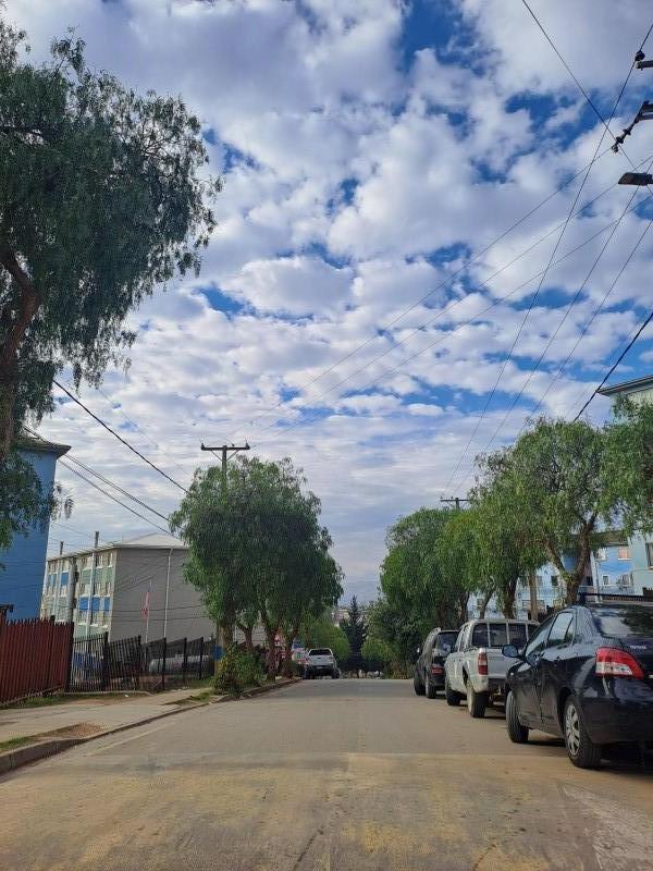 Arriendo Depto 2D Forestal Alto