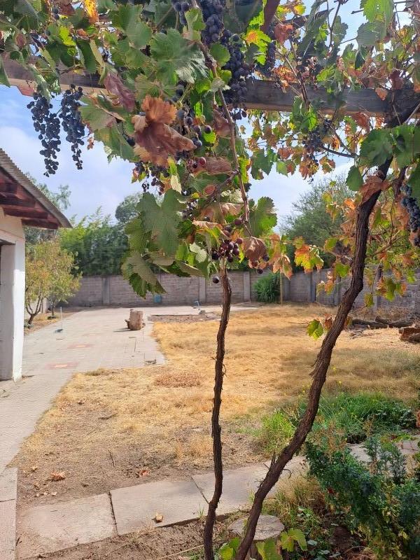 Vendo Casona 5D Centro Putaendo en 800 Mt2 Terreno