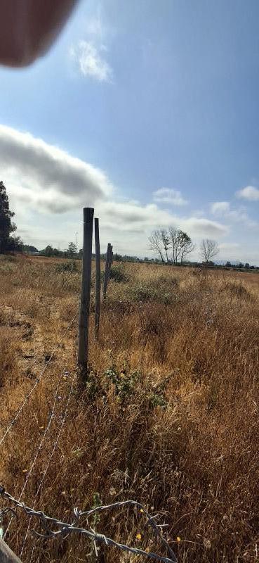 Terreno Agrícola en San Rafael ,provincia de Talca.