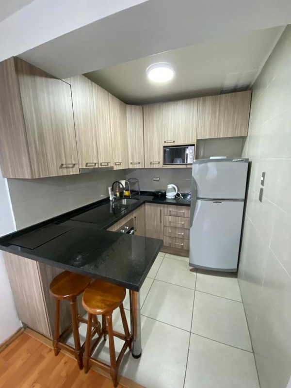 Arriendo Hermoso Departamento Amoblado