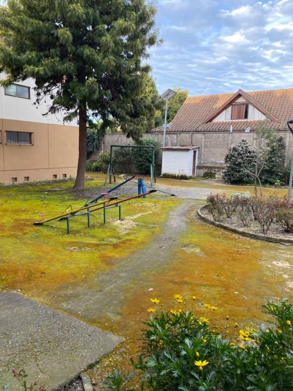 Arriendo Hermoso Departamento Amoblado