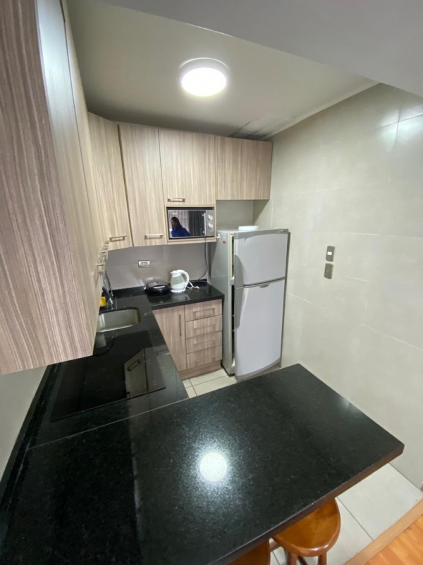 Arriendo Hermoso Departamento Amoblado