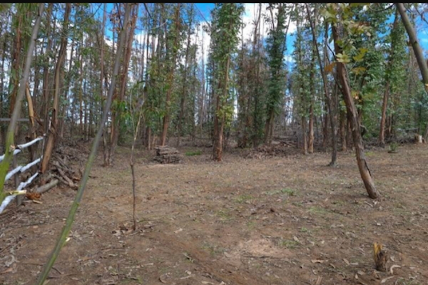 Terreno en Maitencillo, 1.400 Mt Con Rol