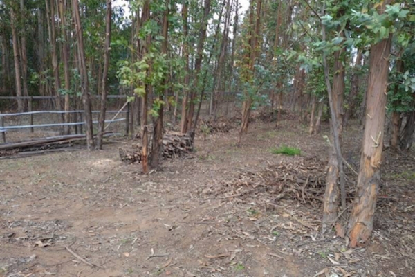 Terreno en Maitencillo, 1.400 Mt Con Rol