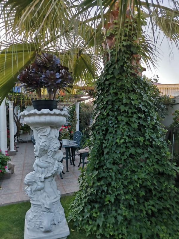 Hermosa Casa en San Miguel 3 Dormitorios, 2 Baños.