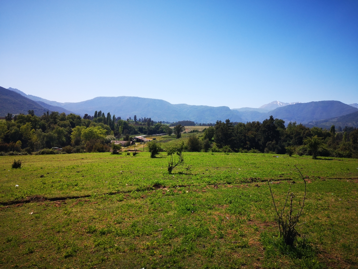 Terreno agrícola de 16 ha | Sector Las Lomas