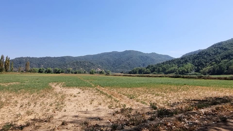 Campo Agricola De 14,9 Hectareas La MontaÑa De Teno