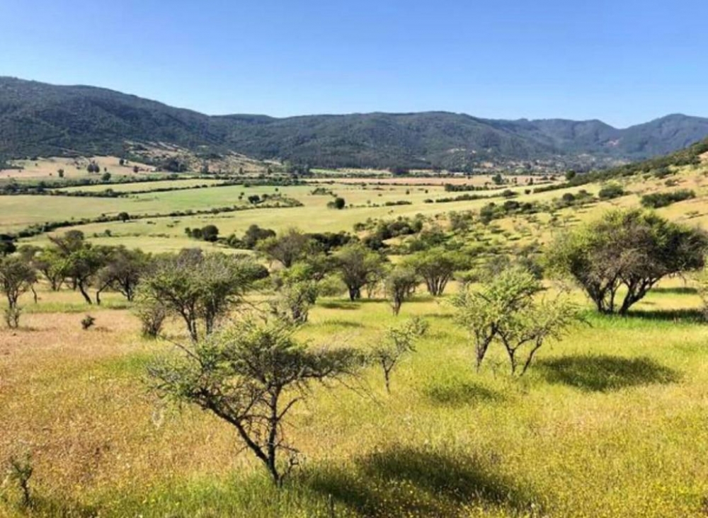 en Venta Casa Estilo Resort Pencahue! Amoblada!