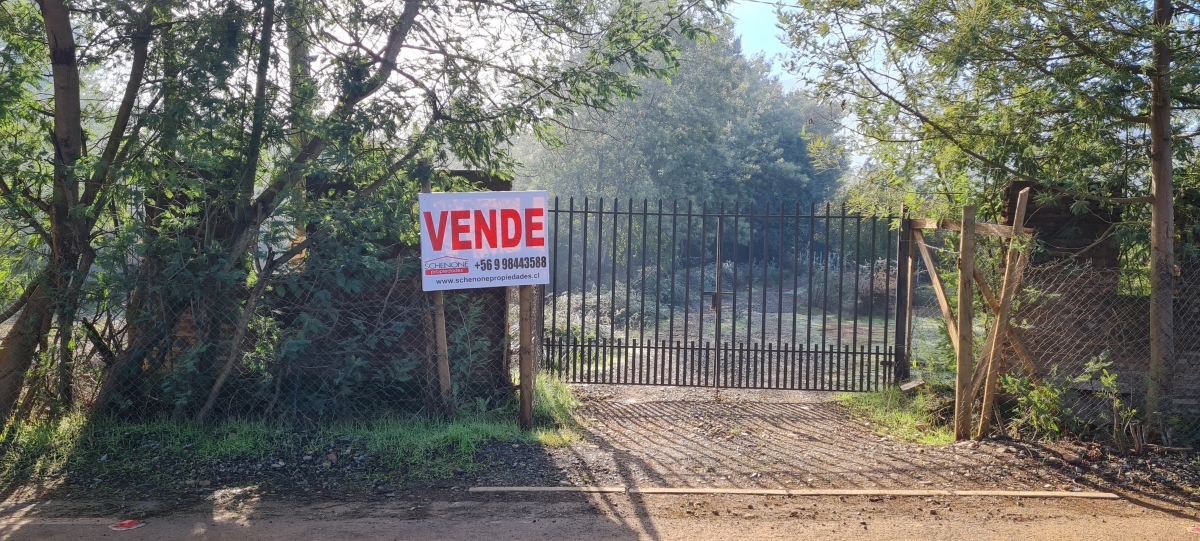 PARCELA A ORILLA DE RUTA ASFALTADA SECTOR QUINAMAVIDA