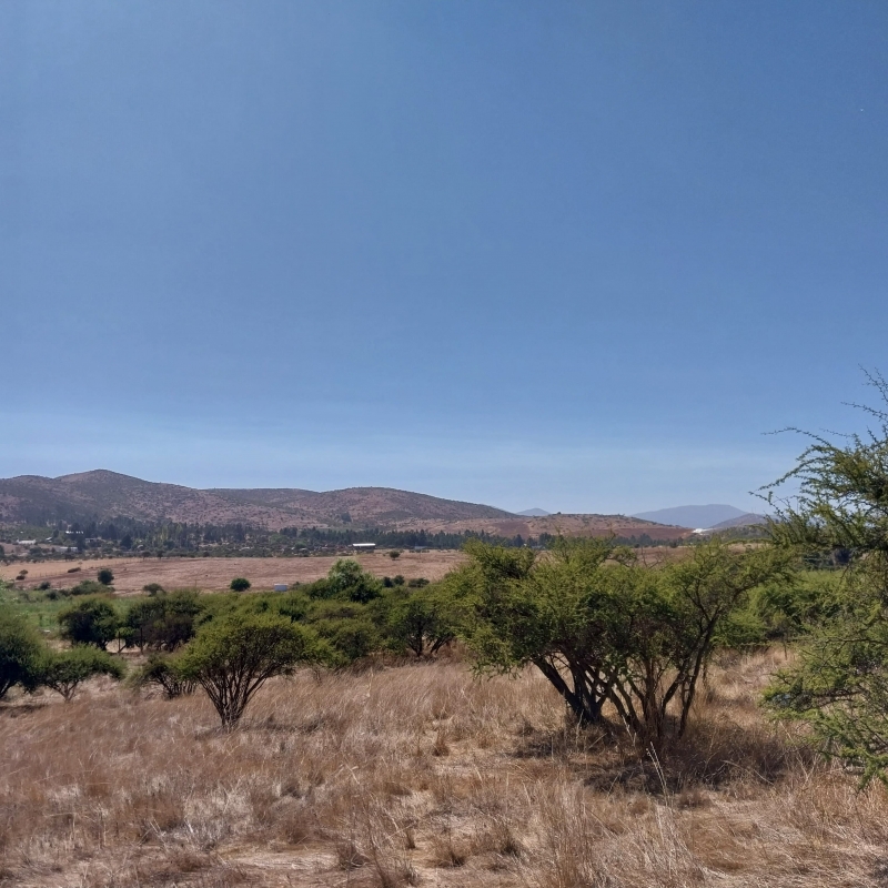 Parcela Con Casa Cercana A Melipilla, Sto Domingo y Matanzas