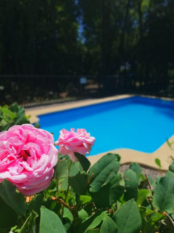 Vendo Complejo Habitacional y Turístico