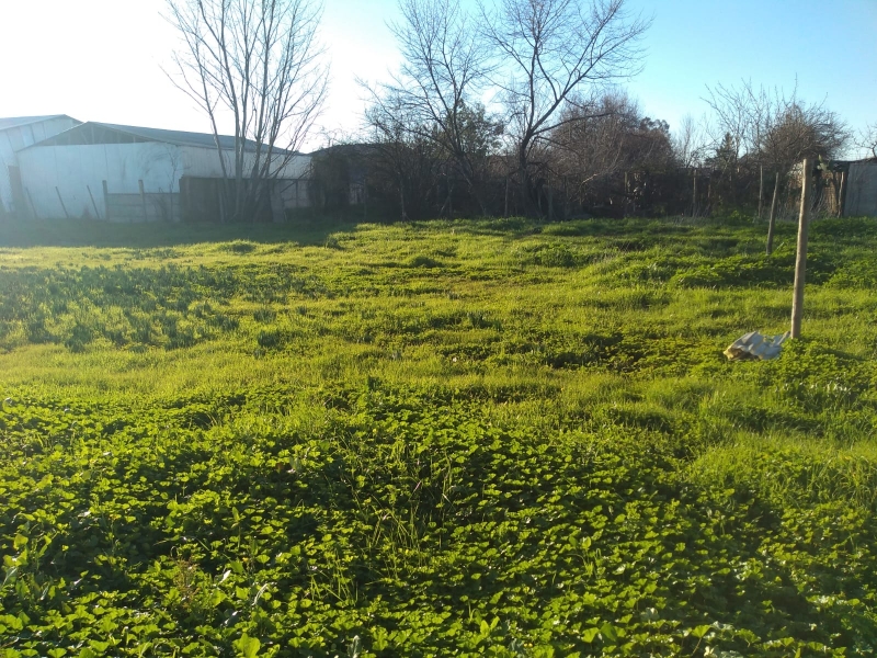 Amplio Terreno Urbano en Parral 1700 Mts Entre 1 y 2Sur