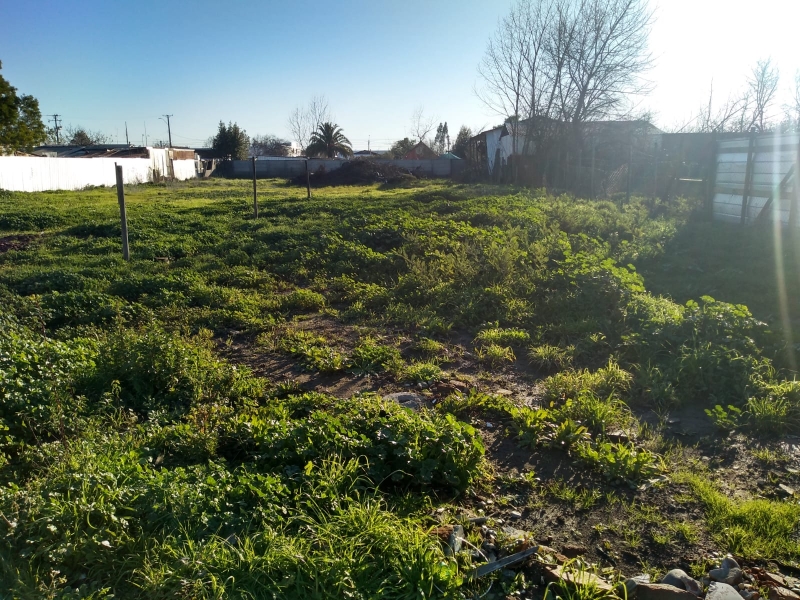 Amplio Terreno Urbano en Parral 1700 Mts Entre 1 y 2Sur