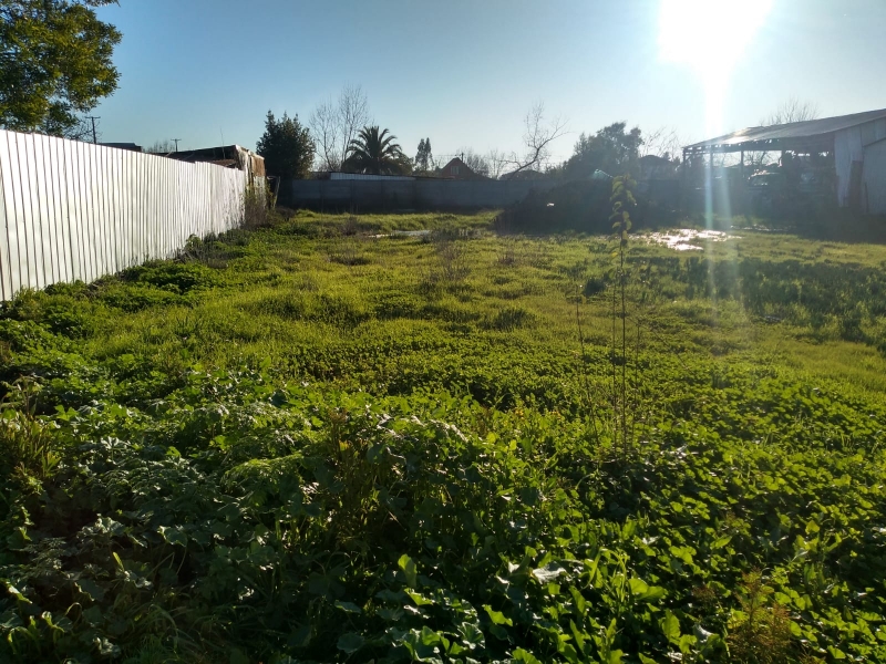 Amplio Terreno Urbano en Parral 1700 Mts Entre 1 y 2Sur