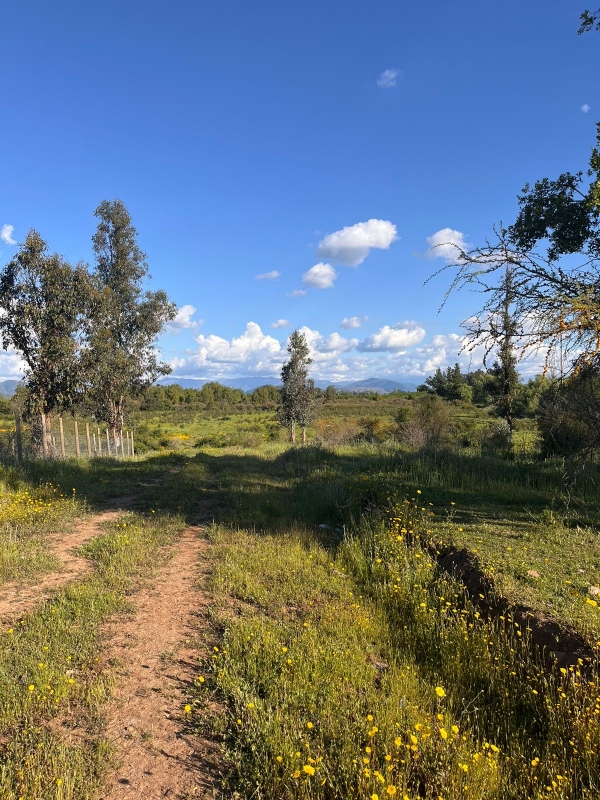 Se Vende Parcela A 20 Min de Talca