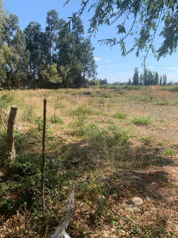 Se Vende Parcela en Palmira