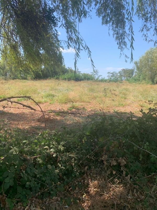 Se Vende Parcela en Palmira