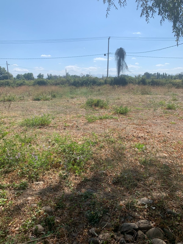Se Vende Parcela en Palmira