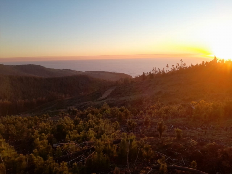Se Vende Terreno en Vichuquen