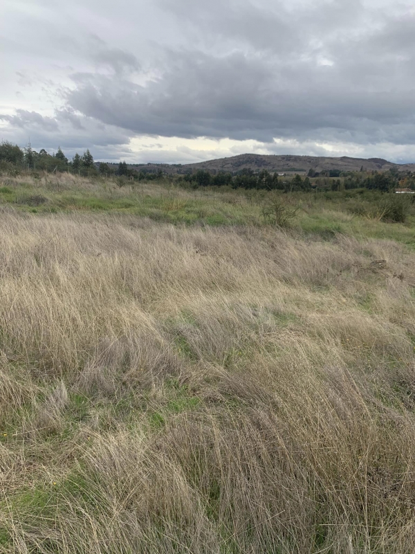 ¡descubre el Paraíso Natural Cerca de Talca! Parcelas Dispo