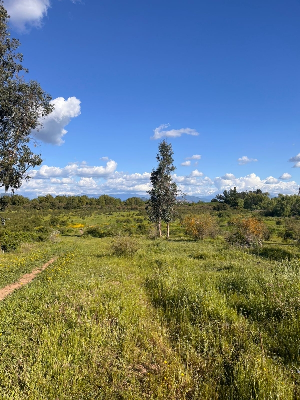 Se Vende Parcela A 20 Min de Talca