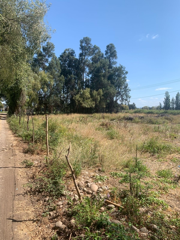 Se Vende Parcela en Palmira