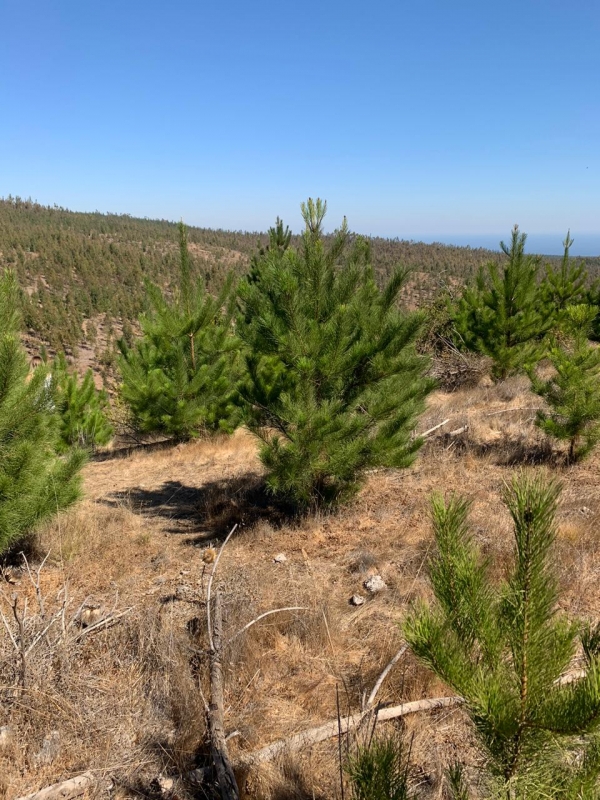 Se Vende Parcela en Pichilemu