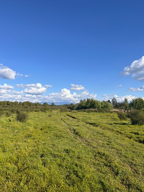 Se Vende Parcela A 20 Min de Talca