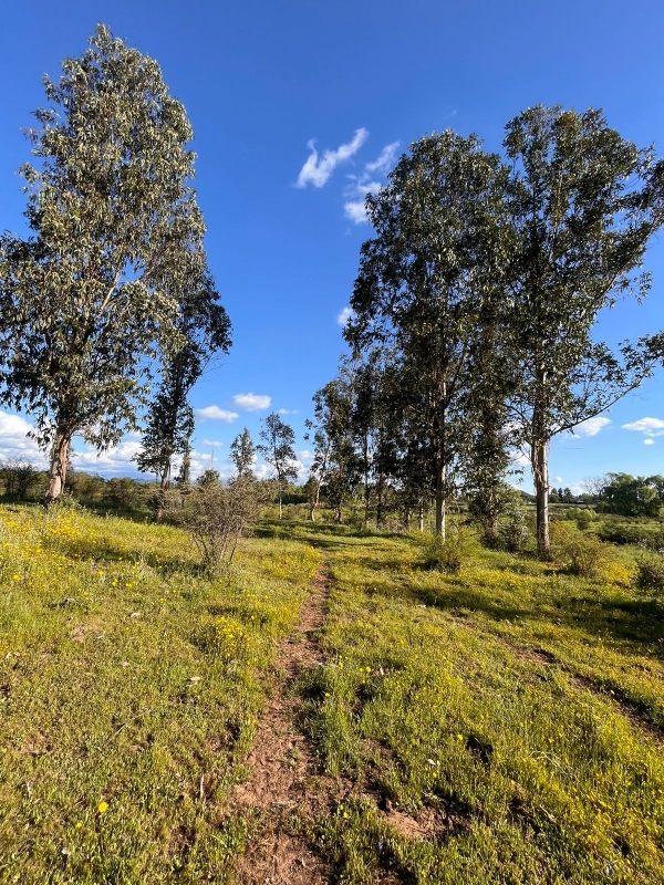 Se Vende Parcela A 20 Min de Talca