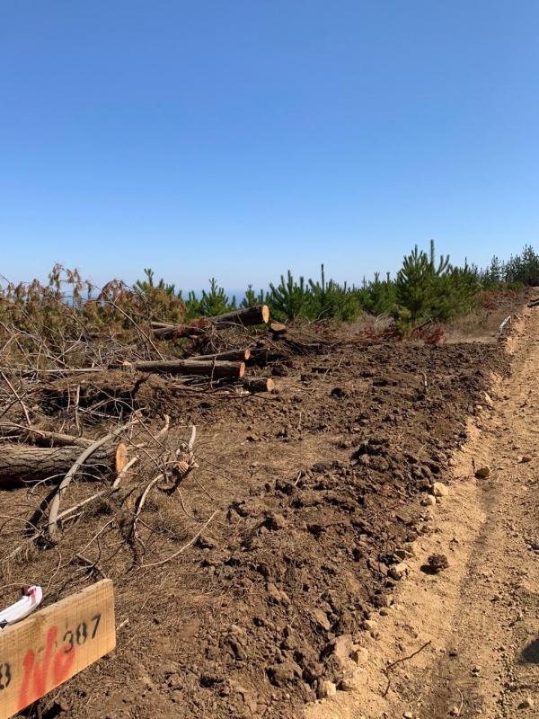 Se Vende Parcela en Pichilemu