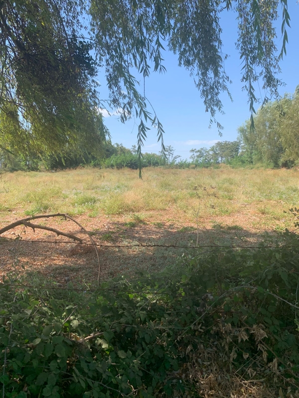 Se Vende Parcela en Palmira