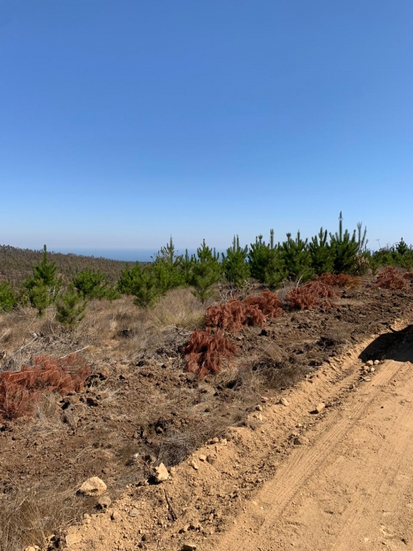 Se Vende Parcela en Pichilemu