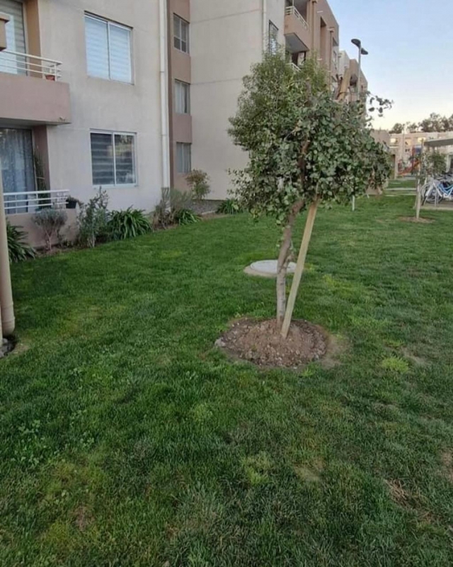 Se Arrienda Departamento Frente Utal