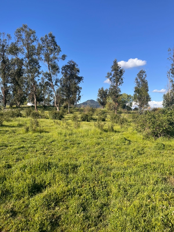 Se Vende Parcela A 20 Min de Talca