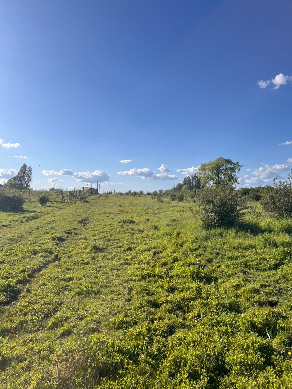 Se Vende Parcela A 20 Min de Talca