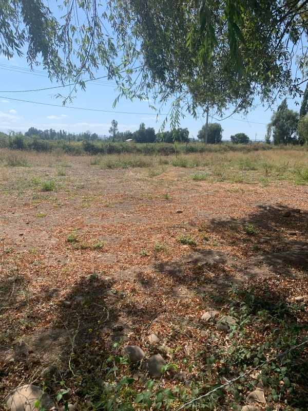 Se Vende Parcela en Palmira