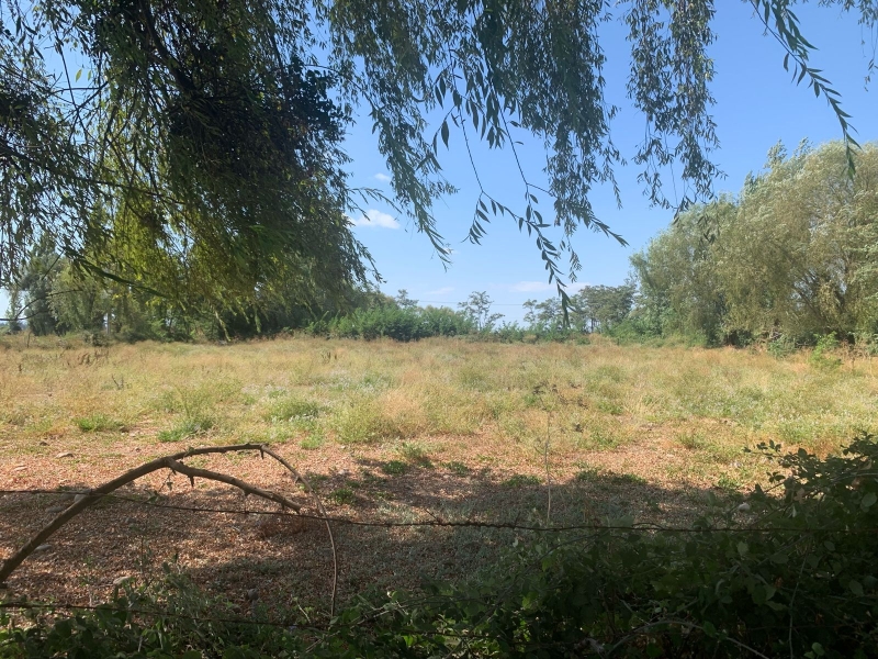 Se Vende Parcela en Palmira