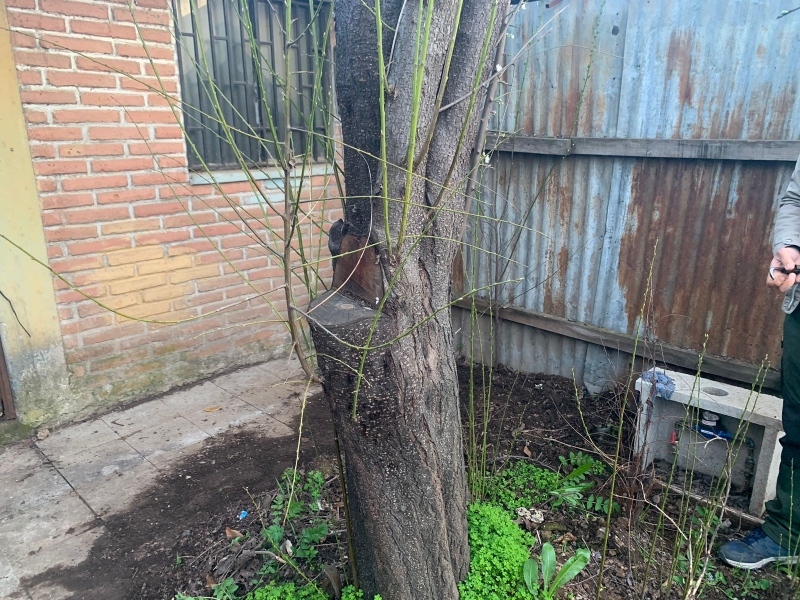 Se Vende Casa en San Miguel del Piduco