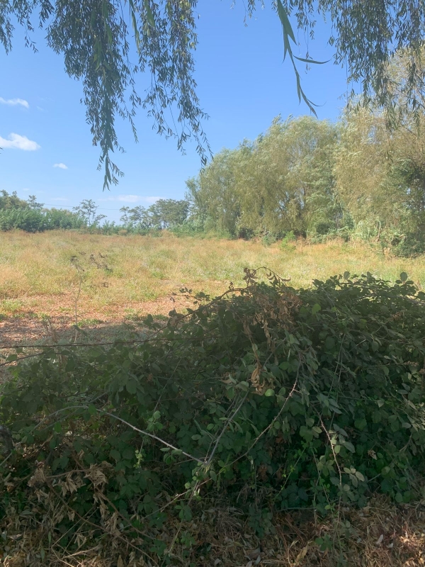 Se Vende Parcela en Palmira