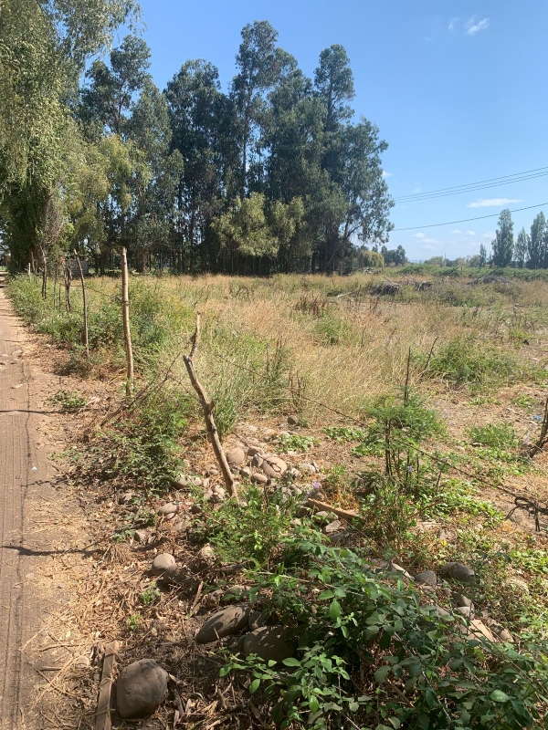 Se Vende Parcela en Palmira