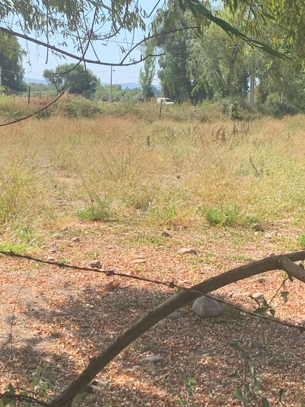 Se Vende Parcela en Palmira