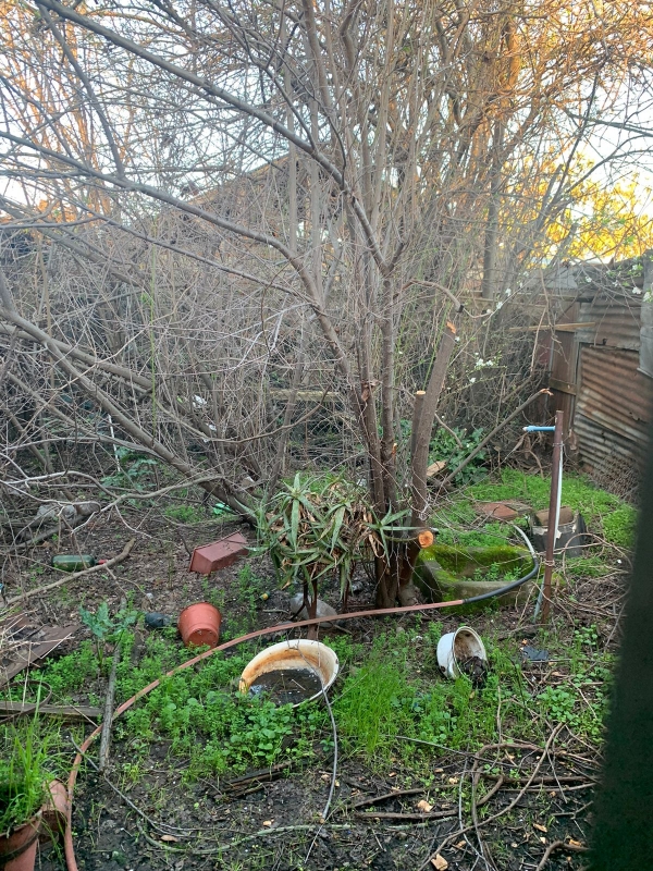 Se Vende Casa en San Miguel del Piduco