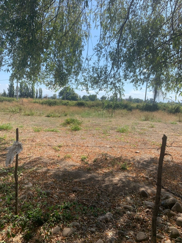 Se Vende Parcela en Palmira