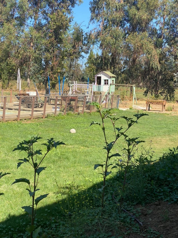 Se Vende Parcela Con Casa en Puertas Negras