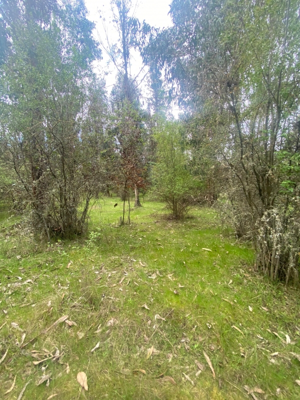 Se Vende Hermosa Parcela en los Boldos