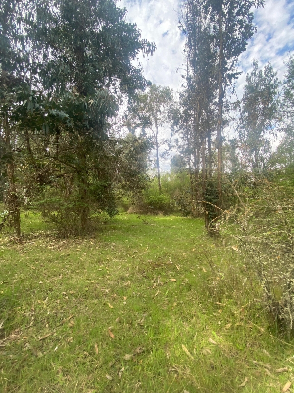 Se Vende Hermosa Parcela en los Boldos