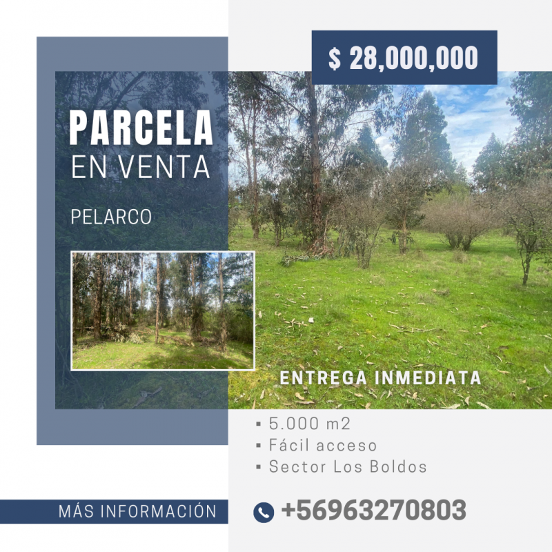 Se Vende Hermosa Parcela en los Boldos