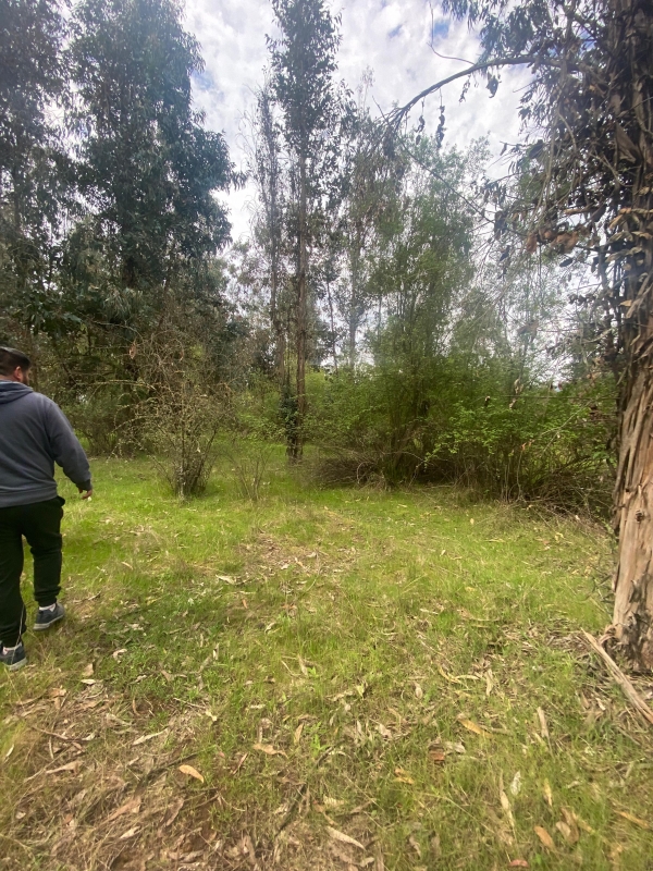 Se Vende Hermosa Parcela en los Boldos